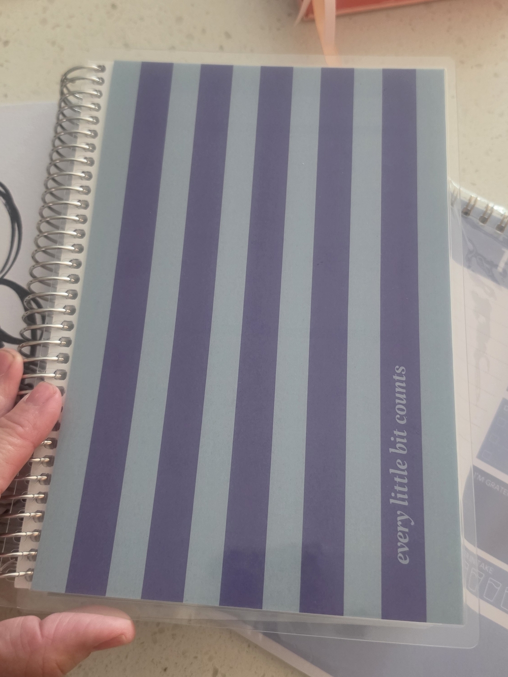 Erin Condren Budget Planner New Never Use With 2 Notebooks